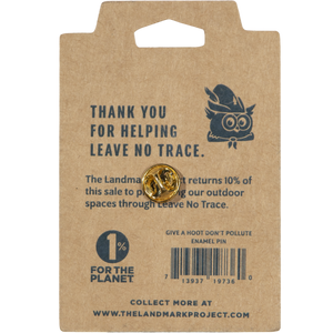Woodsy Owl Postage Stamp Pin