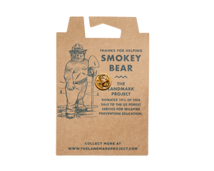 Smokey Bear Enamel Pin