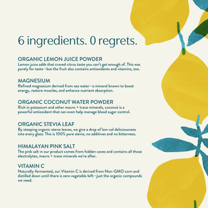 Organic Hydration Stick Pack (12)