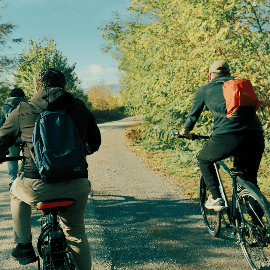 Cruiser Bike Rental