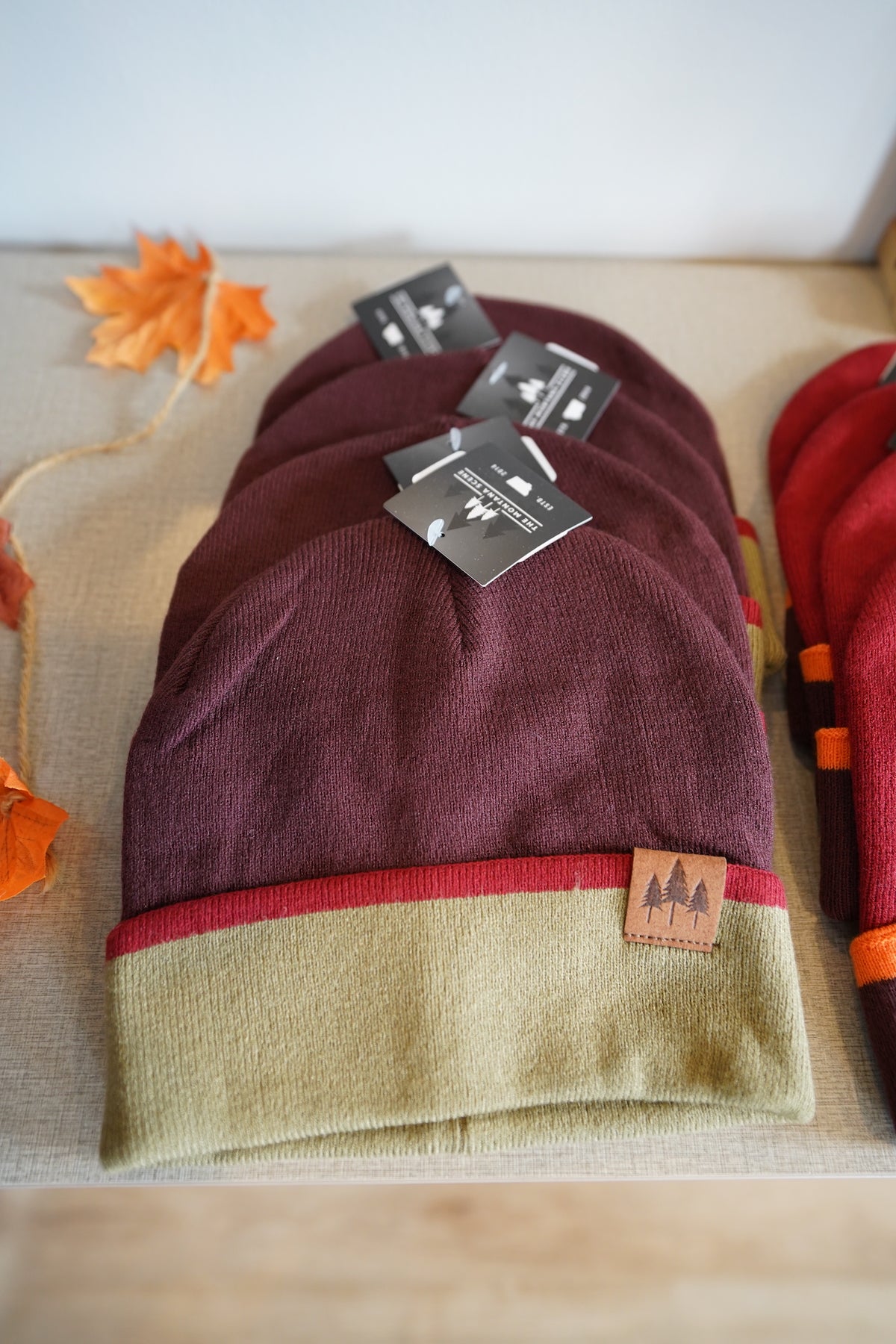 Color Block Cuffed Beanie - Brown/Olive