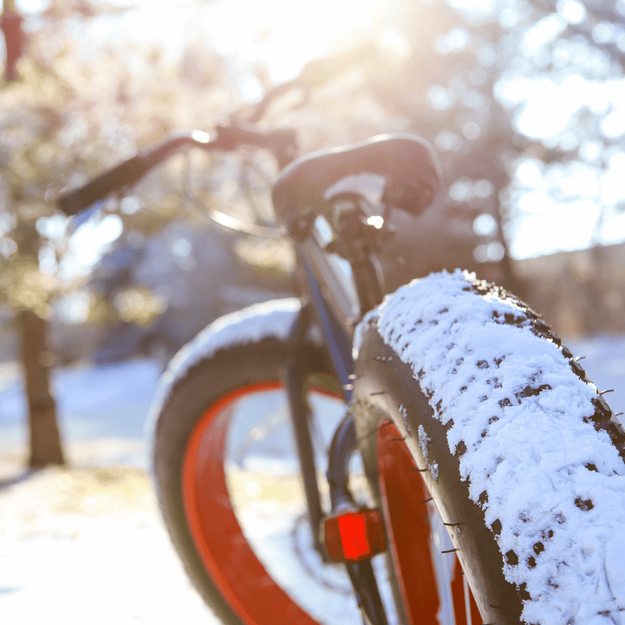 Fat Tire Bike Rental