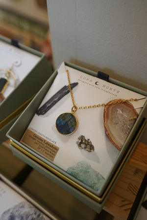 Smooth Sailing Long Medallion Necklace- Labradorite