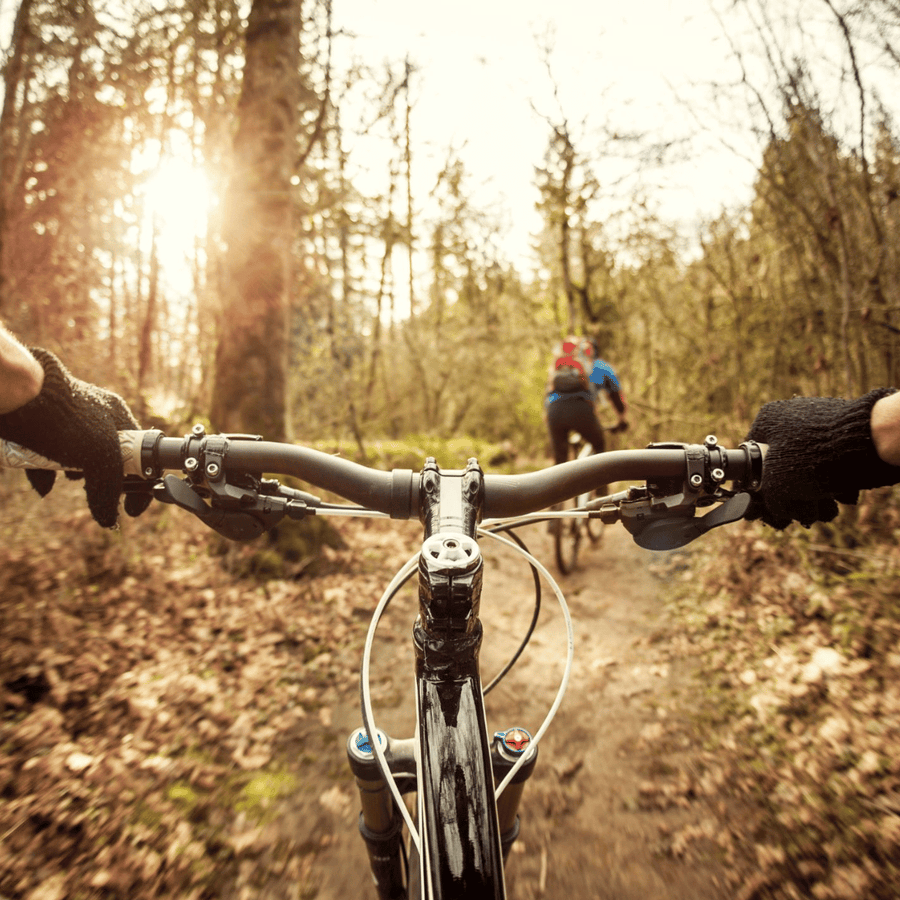 Mountain Bike Rental