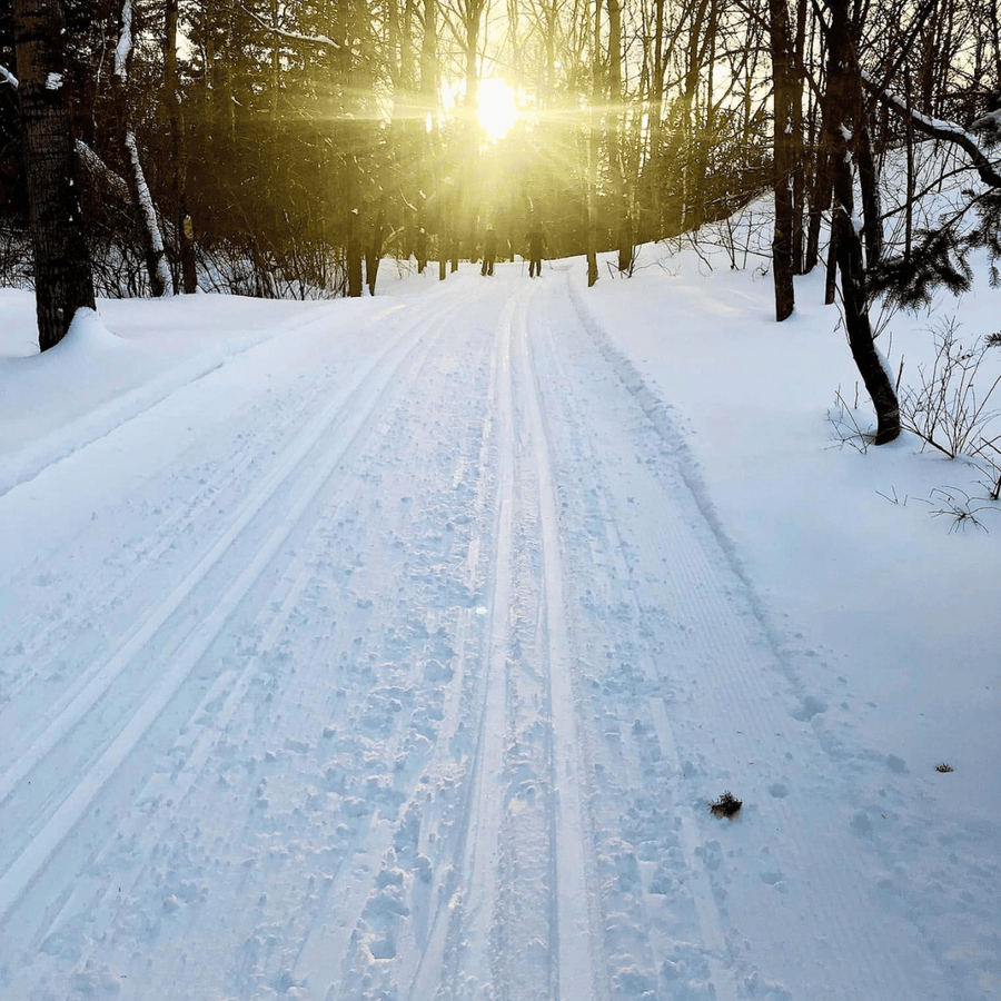 Nordic Ski Rental