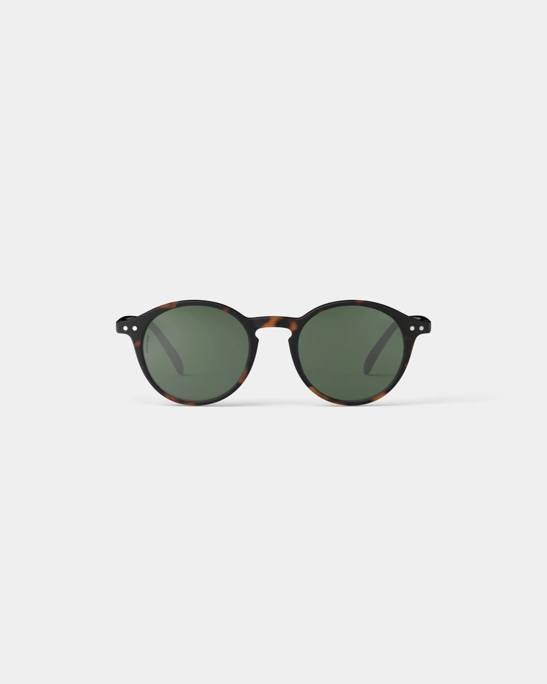 #D - Tortoise Polarized