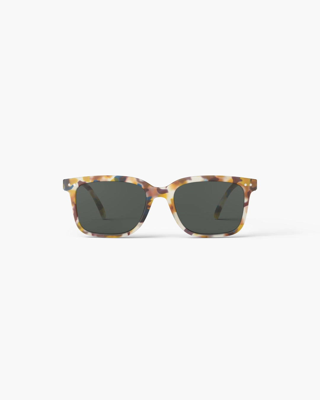 #L - Blue Tortoise