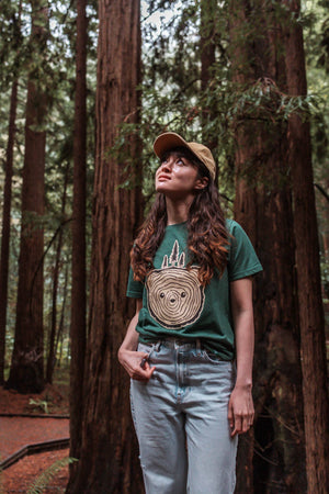 Bear Tree Unisex Tee - Heather Forest