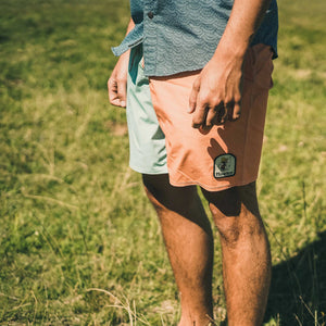 Buchannon Boardshorts