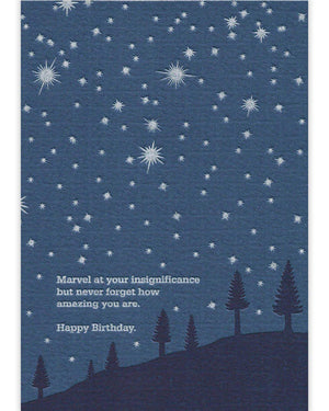 Insignificance Birthday Card