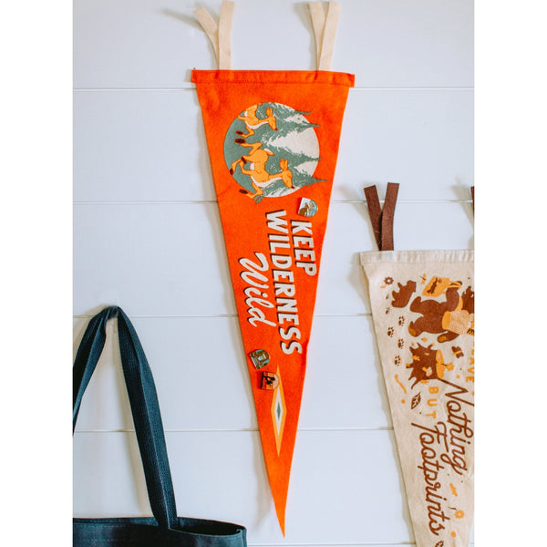 Keep Wilderness Wild Pennant