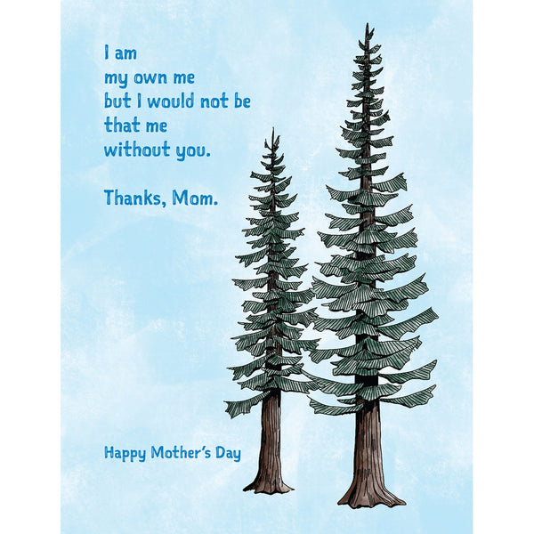 Mother's Day Conifers